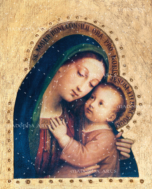Mother of Good Counsel Card